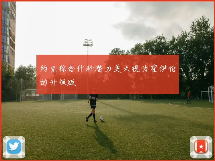 约克称舍什科潜力更大视为霍伊伦的升级版
