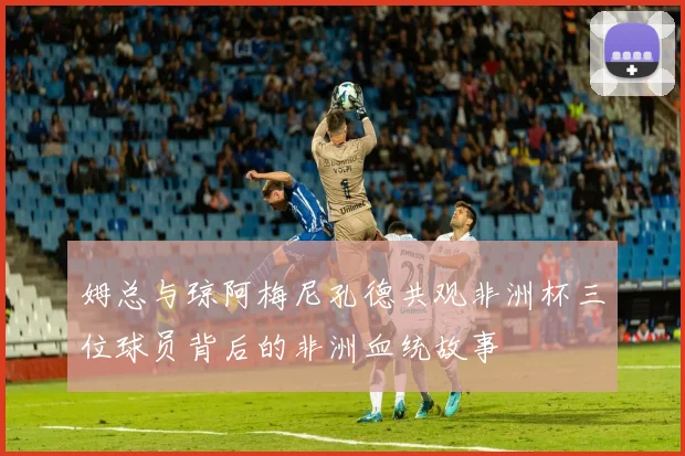 姆总与琼阿梅尼孔德共观非洲杯三位球员背后的非洲血统故事
