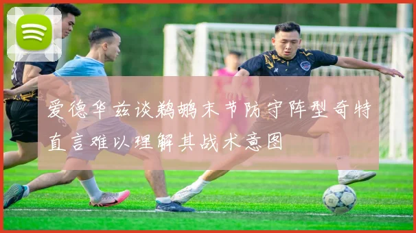 爱德华兹谈鹈鹕末节防守阵型奇特直言难以理解其战术意图