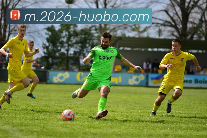 火博体育平台生态图